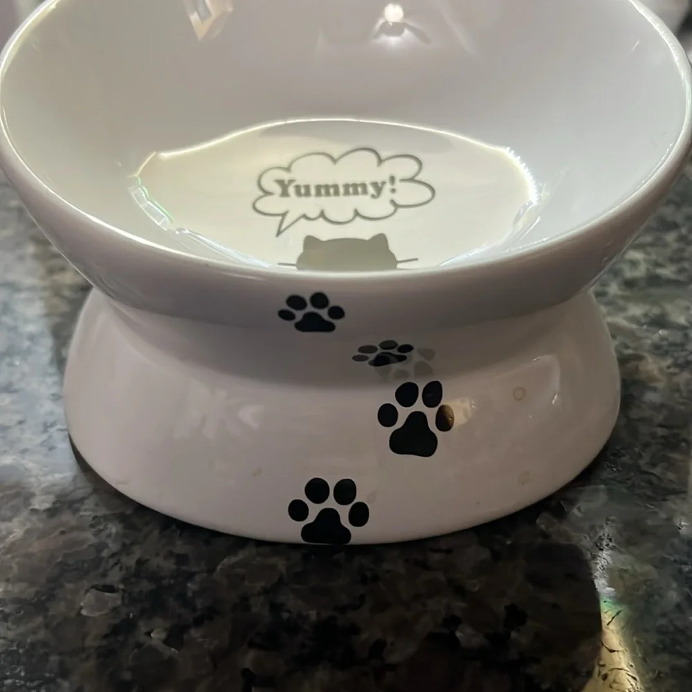 Raise glass cat bowl